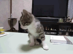 晚自习，班主任突然进来时的样子！！gif动态gif搞笑图片