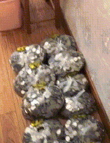 这么多，一元的硬币大家猜一猜，这是做什么生意的？gif动态gif搞笑图片