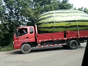 你见过这么大的西瓜吗？gif动态gif搞笑图片