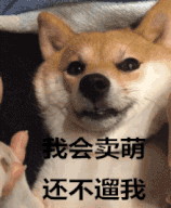 呆萌狗狗GIF图片，可爱狗狗动态图片gif动态gif搞笑图片