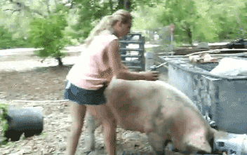 偷偷的坐上去，走罗gif动态gif搞笑图片