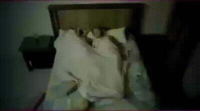 是不是很像你和你老婆睡觉的样子gif动态gif搞笑图片