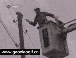 兄弟你这不叫救猫不成反到害了它吗gif动态gif搞笑图片