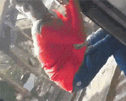 原来阿三也不是万能的gif动态gif搞笑图片