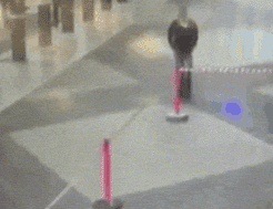 叫你贱，招报应了吧gif动态gif搞笑图片