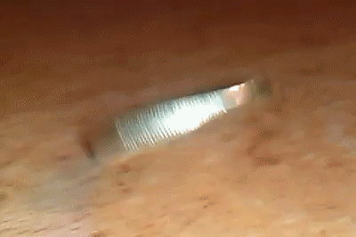 你看，你细看，困了没有gif动态gif搞笑图片