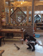 妹子你这是铁砂掌？一拍就死了gif动态gif搞笑图片