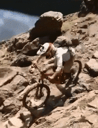 骑自行车摔倒搞笑gif动态图gif动态gif搞笑图片