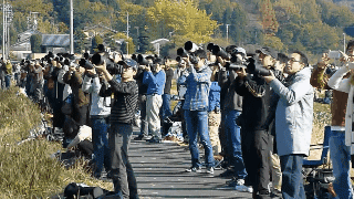 远看以为是喝水大赛搞笑gif动态图gif动态gif搞笑图片