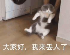 猫动物可爱带字gif动图表情包gif动态gif搞笑图片