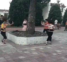 大妈太极拳广场舞搞笑动态图gif动态gif搞笑图片