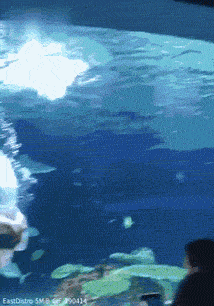 水中美人鱼比爱心动图gif动态gif搞笑图片