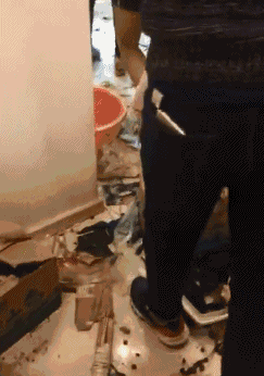 哈士奇拆家现场图gif动态gif搞笑图片