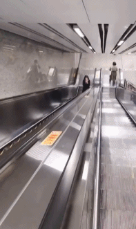 美女对镜头笑的动图gif动态gif搞笑图片