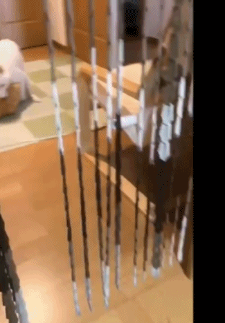 狗草玩偶被发现的搞笑动图gif动态gif搞笑图片