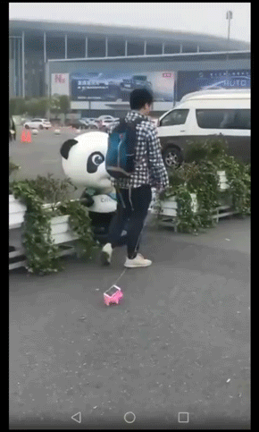 玩具宠物的gif动态图gif动态gif搞笑图片