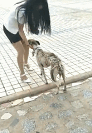 美女的内涵邪恶动图gif动态gif搞笑图片