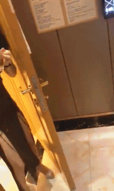 性感低胸装的美女动图gif动态gif搞笑图片