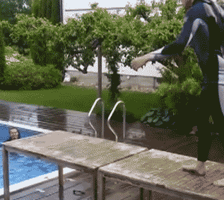 微胖美女跳水的搞笑动图gif动态gif搞笑图片