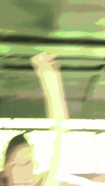 一群性感比基尼美女湿身诱惑gif动态gif搞笑图片