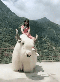 美女性感街拍大长腿诱惑GIF动图gif动态gif搞笑图片