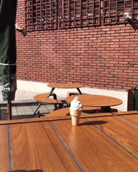 欧美性感美女吃冰淇淋的GIF动图gif动态gif搞笑图片