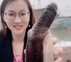 美女主播吃象拔蚌的GIF动图片gif动态gif搞笑图片