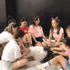 一群美女跟宠物玩耍的动态图片gif动态gif搞笑图片