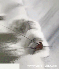 不钓鱼是不可能的gif动态gif搞笑图片