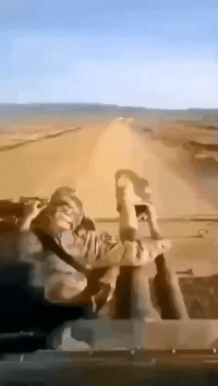 伊朗终于开上车了gif动态gif搞笑图片