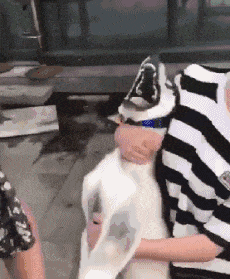 二哈：你们别动我的爪子，不然我怎么拆家呀gif动态gif搞笑图片