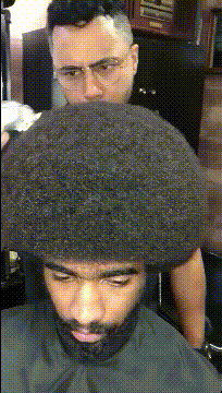 自从剪了这个头发就在也没打过伞gif动态gif搞笑图片