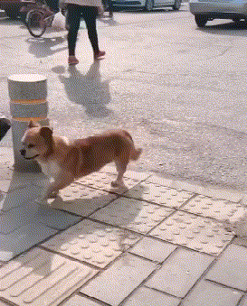 今天去见我的女朋友，走出了六亲不认的步伐gif动态gif搞笑图片