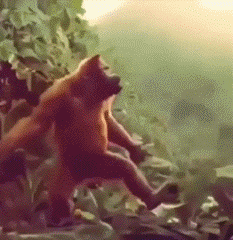 兄弟们等等我，我马上来陪你们gif动态gif搞笑图片