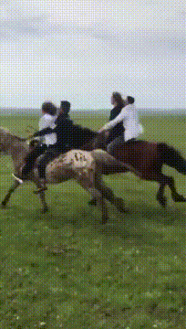 怎么感觉各位是在开车gif动态gif搞笑图片