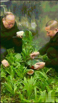 自家菜园自产自销gif动态gif搞笑图片