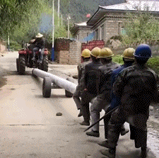 这电线杆的质量杠杠的gif动态gif搞笑图片