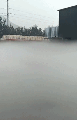 你们二人已经升仙，以后就跟着我吧gif动态gif搞笑图片