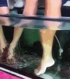 这是什么情况，我怎么一条鱼也没有gif动态gif搞笑图片