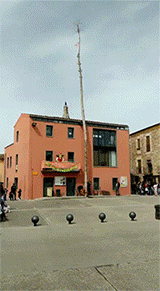 这颗树有它自己的想法gif动态gif搞笑图片