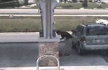 这辆车有自己的想法gif动态gif搞笑图片