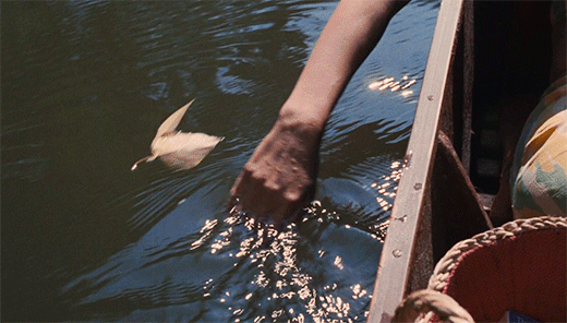 有些失望是不可避免的， 但大部分的失望， 都是因为你高估了自己gif动态gif搞笑图片