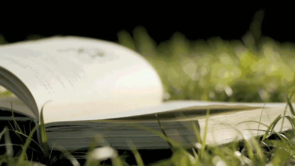 冷漠和淡薄， 是对不喜欢的人和事， 最有力的反击。  ——刘同 &gif动态gif搞笑图片