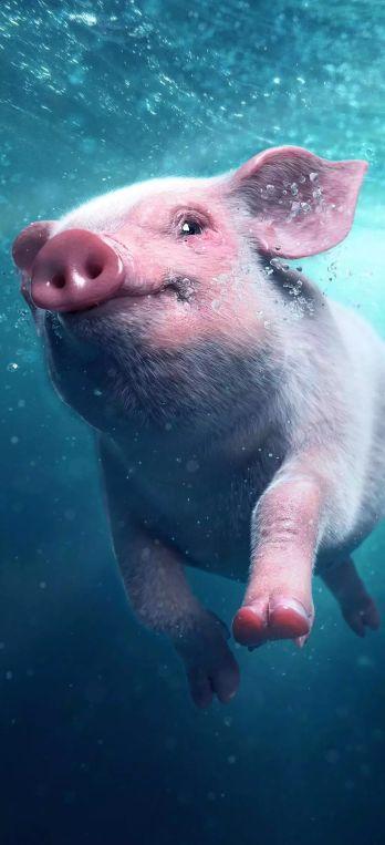 路是由足和各组成的。足表示路是用脚走出来的，各表示各人有各人gif动态gif搞笑图片