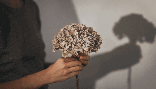 生活就是自己哄自己 把自己劝明白了 也就什么都解决了 不要钻牛gif动态gif搞笑图片