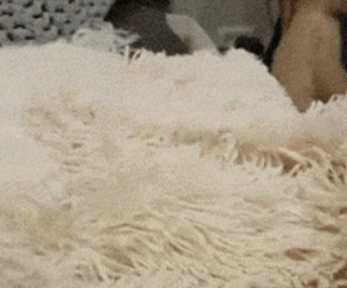 这个隐身毫无违和感gif动态gif搞笑图片