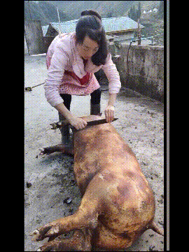 这位大姐刮毛的样子一看就是老手gif动态gif搞笑图片