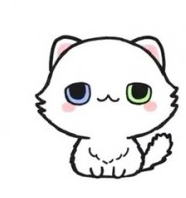 小猫咪动物简笔画画法步骤图简笔画gif搞笑图片