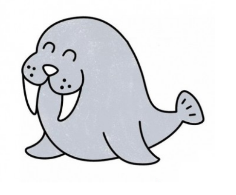 海豹动物简笔画画法步骤图简笔画gif搞笑图片