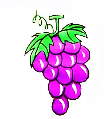 葡萄水果简笔画步骤画法图简笔画gif搞笑图片